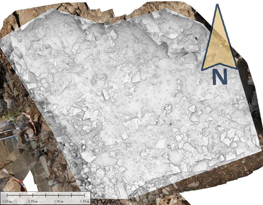 photogrammetry for Roman site and footprints brought to light through digitization.