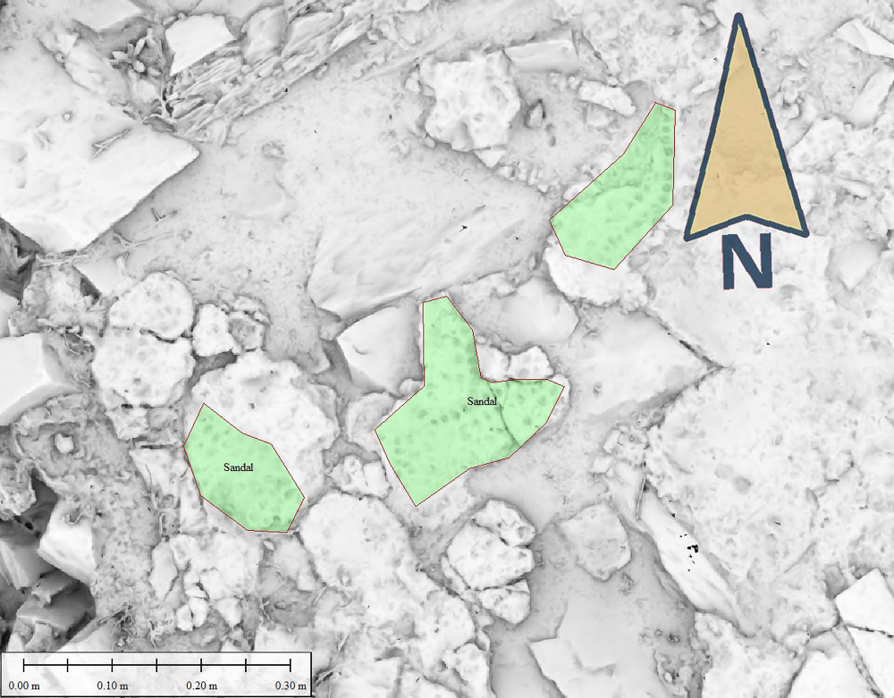 photogrammetry for Roman archaeological site