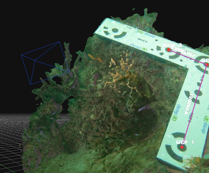 Underwater Seafan Photogrammetry Survey