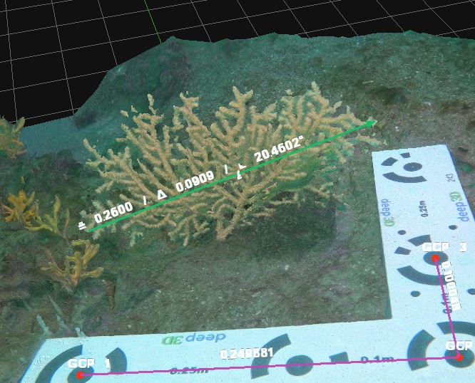 underwater photogrammetry